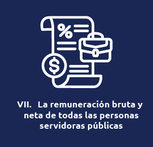 Fracción VII de transparencia